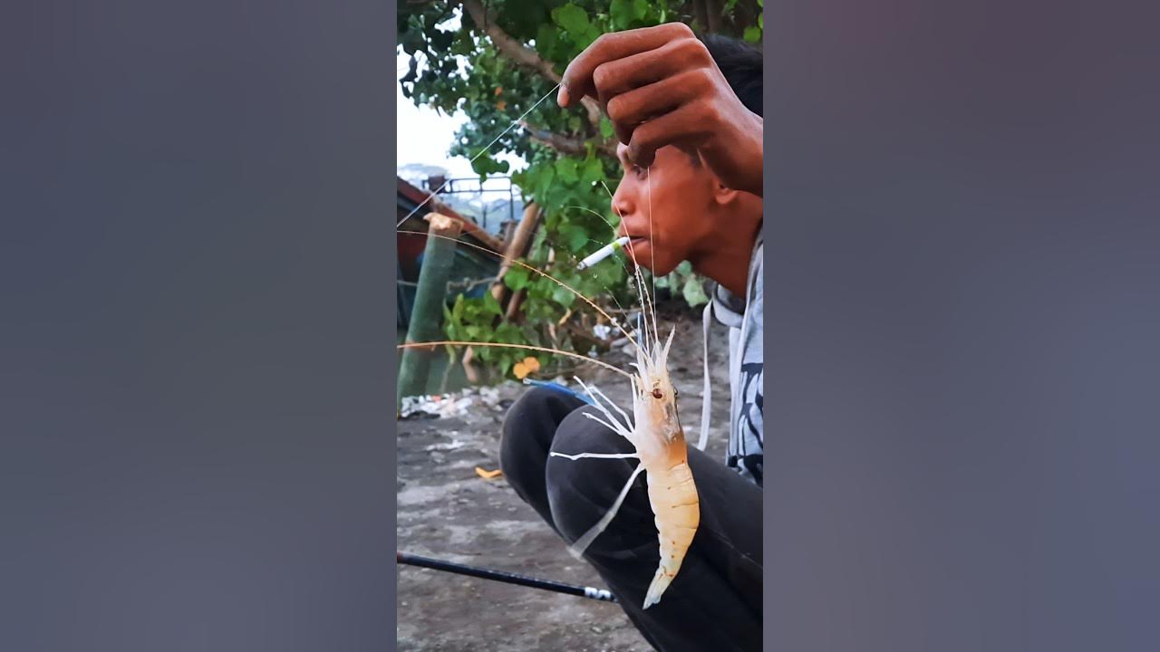 Mancing Udang Serayu: Petualangan Menyatu dengan Alam Cilacap